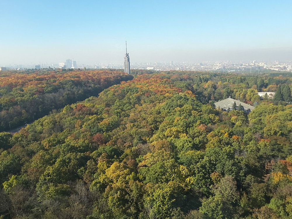 surroundings
