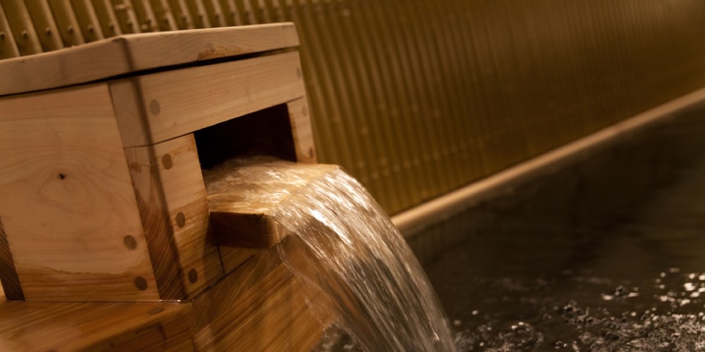 Nishitetsu Resort Inn Beppu 43/74