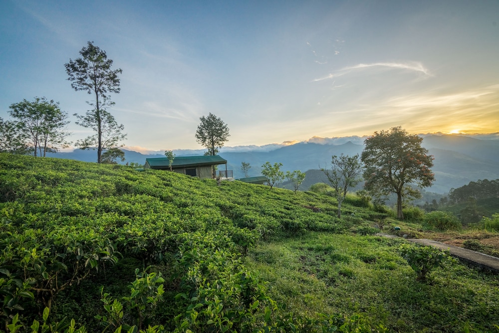 Madulkelle Tea And Eco Lodge 36/43