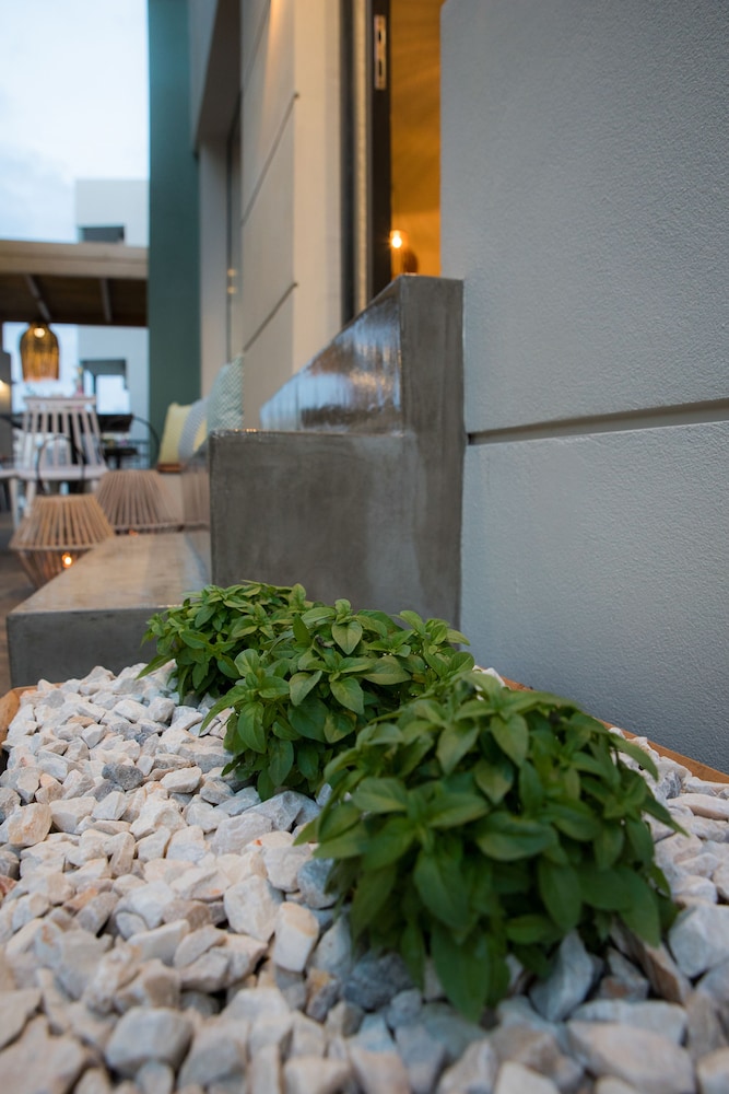 Sunshine Boutique Hotel 24/50