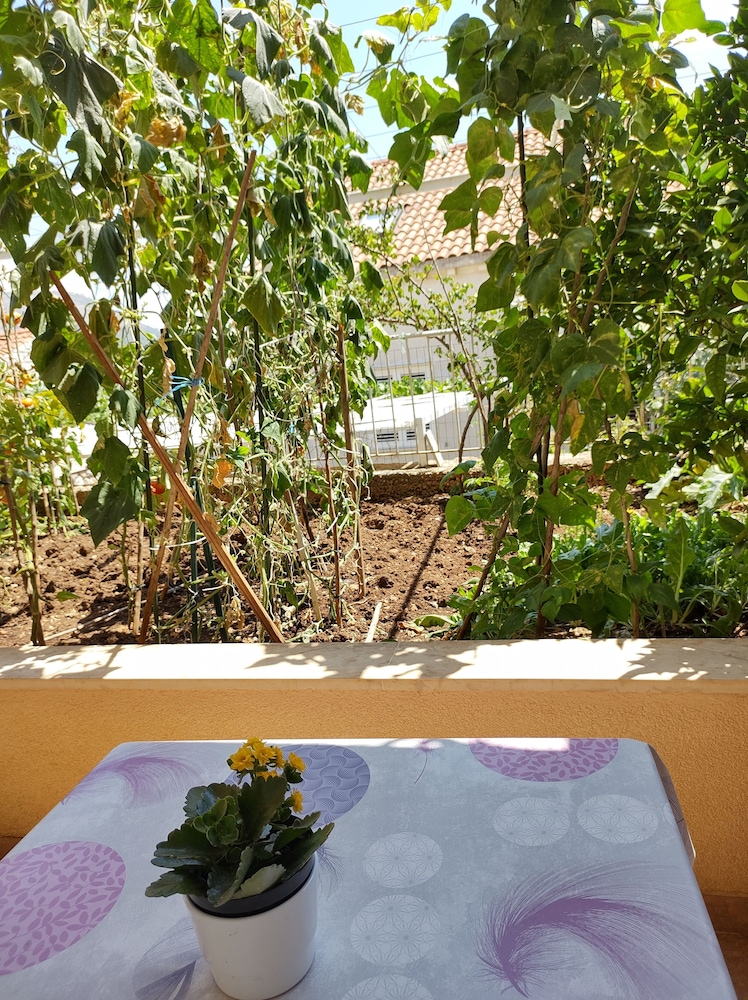 Anna Guesthouse 43/50
