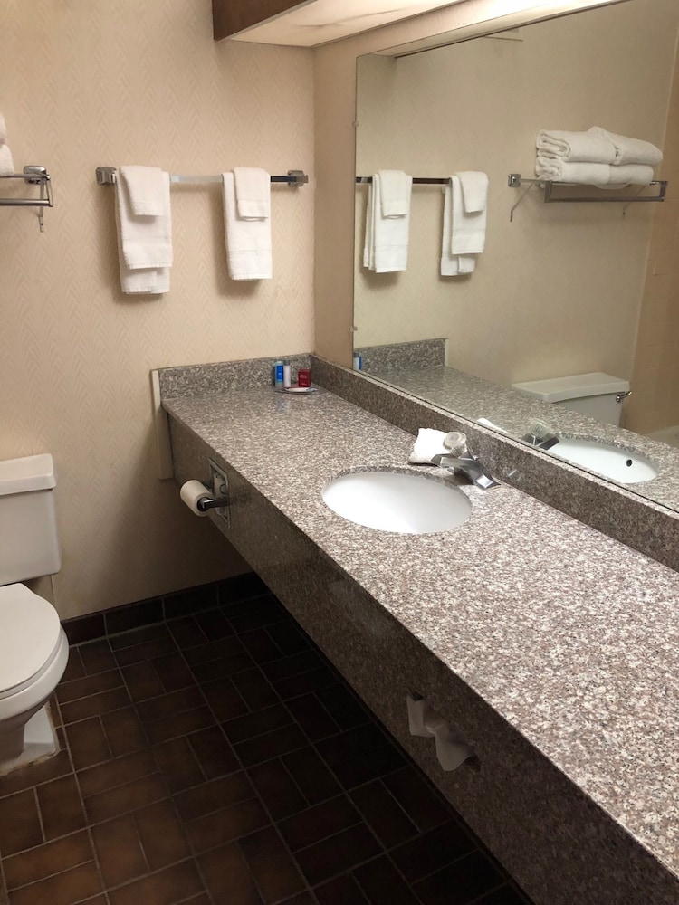 Quality Inn Alamosa 15/31