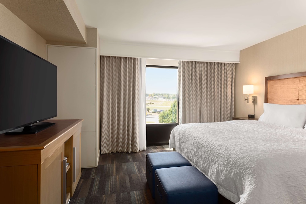 Suite, King Bed, Sofa
