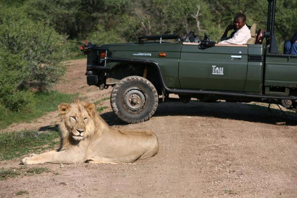 Tau Game Lodge 39/56