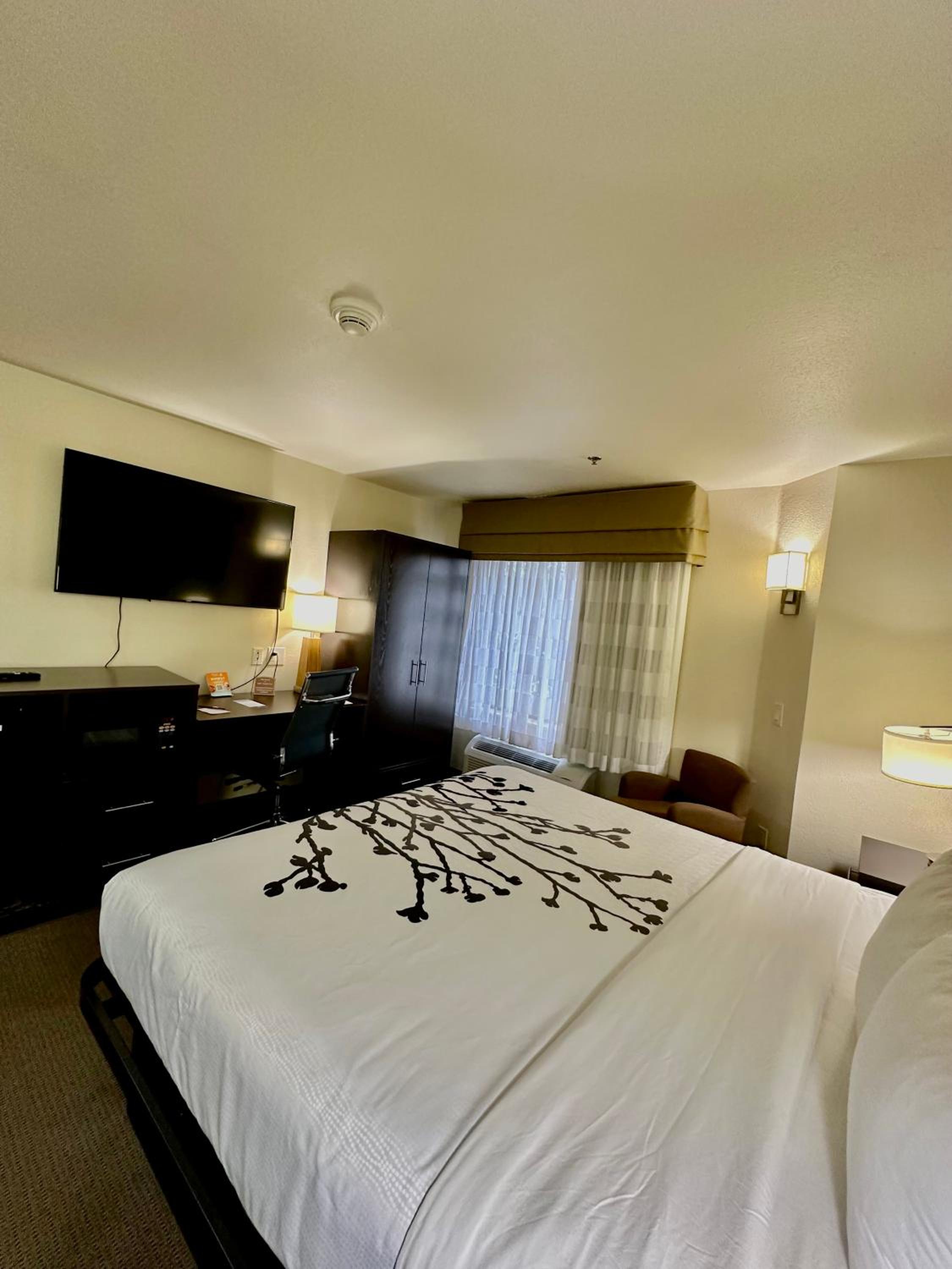 ROOM, KING BED, ACCESSIBLE