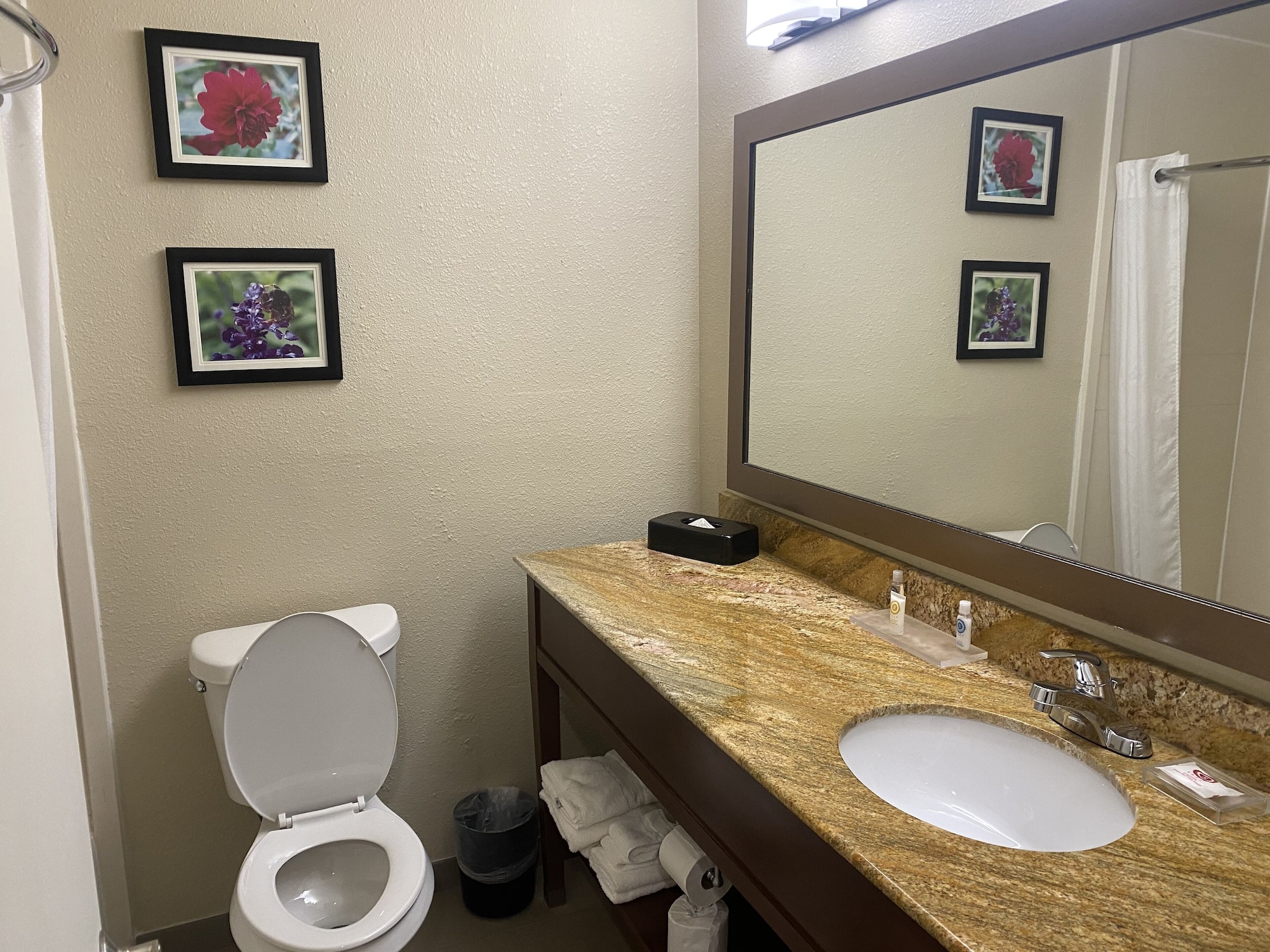 غرفة قياسية بسرير كينج، Comfort Inn & Suites Temple - Medical Center 4/5