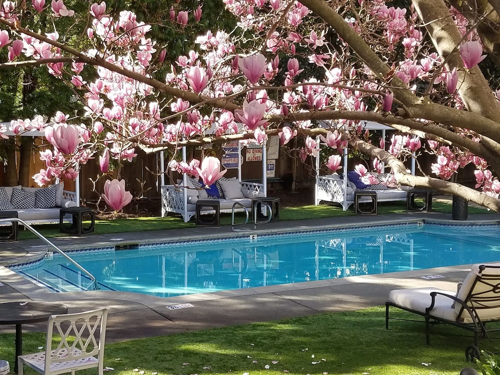 The White House Inn 32/59
