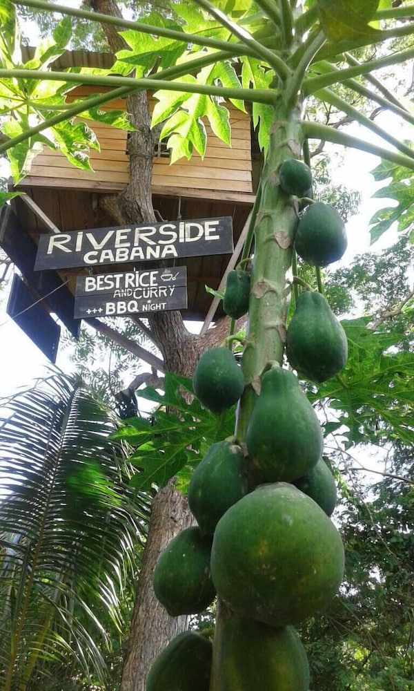 Riverside Cabana Yala 39/50