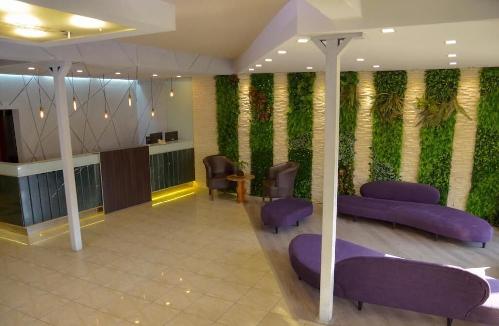 Hotel Ananque and Spa 58/67