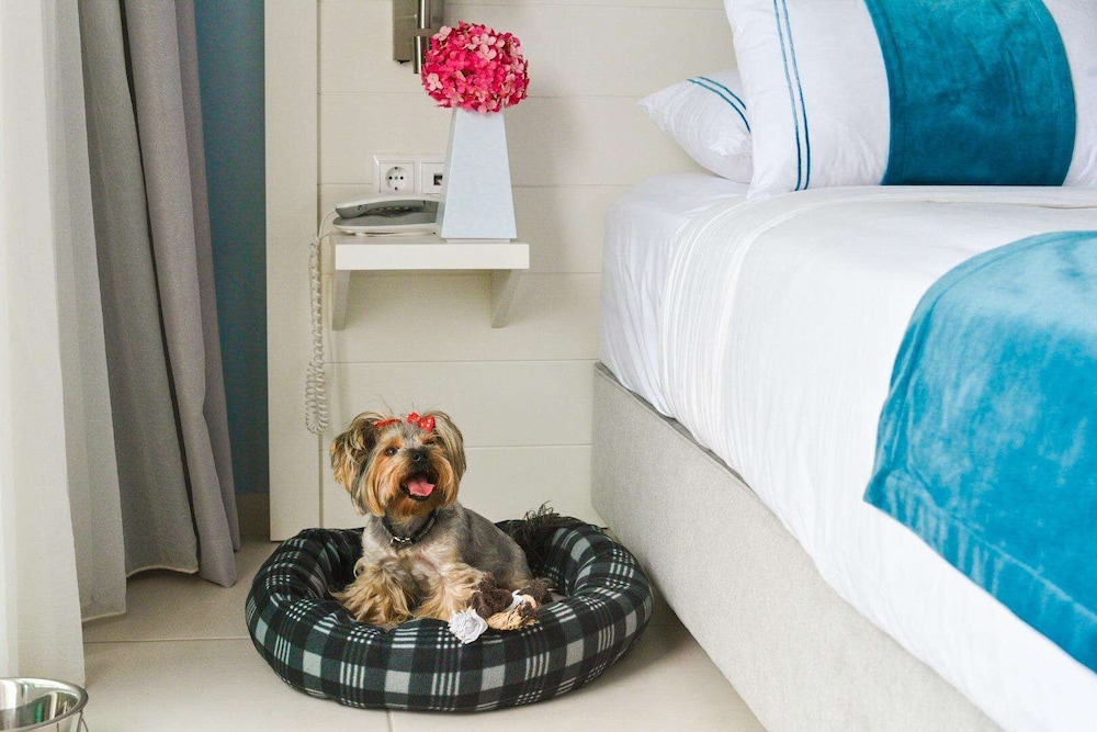 Acrotel Lily Ann Boutique Hotel 29/70