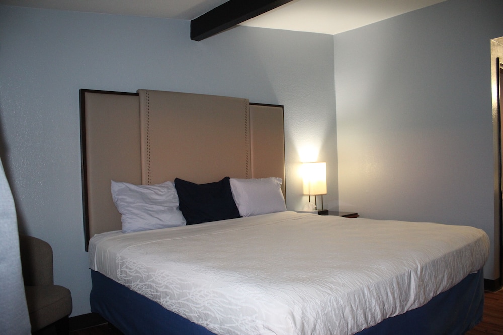 Room, King Bed