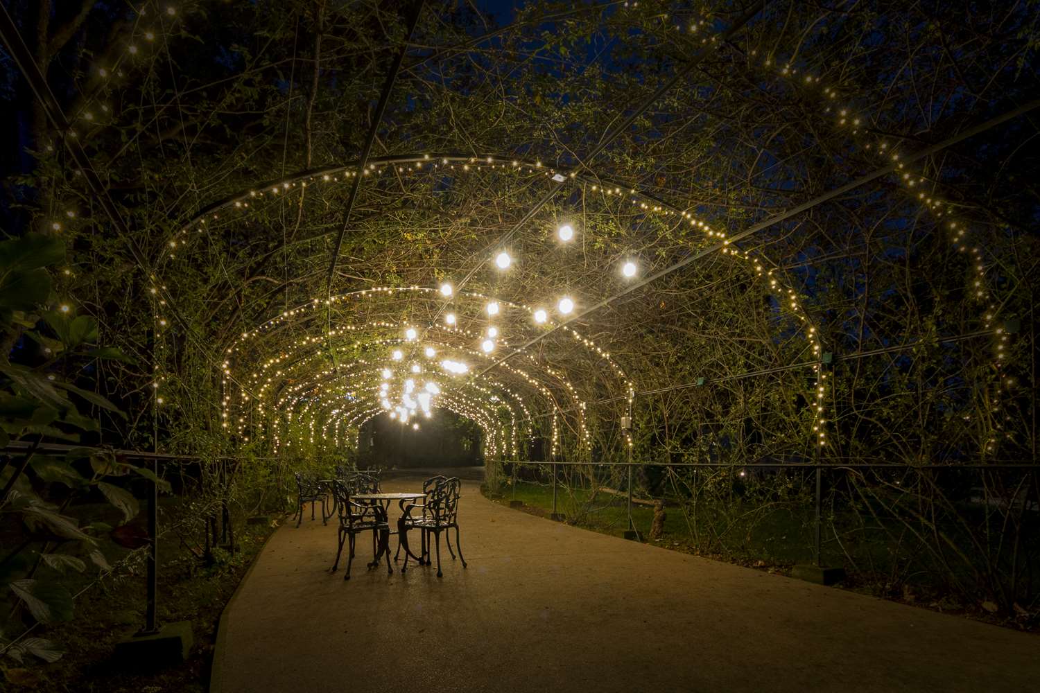 Boeira Garden Hotel Porto Gaia, Curio Collection by Hilton 58/64