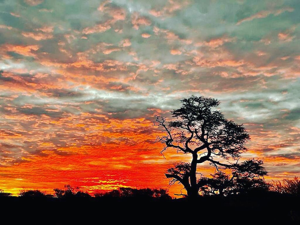Gamagara Africa Private Nature Reserve 41/49