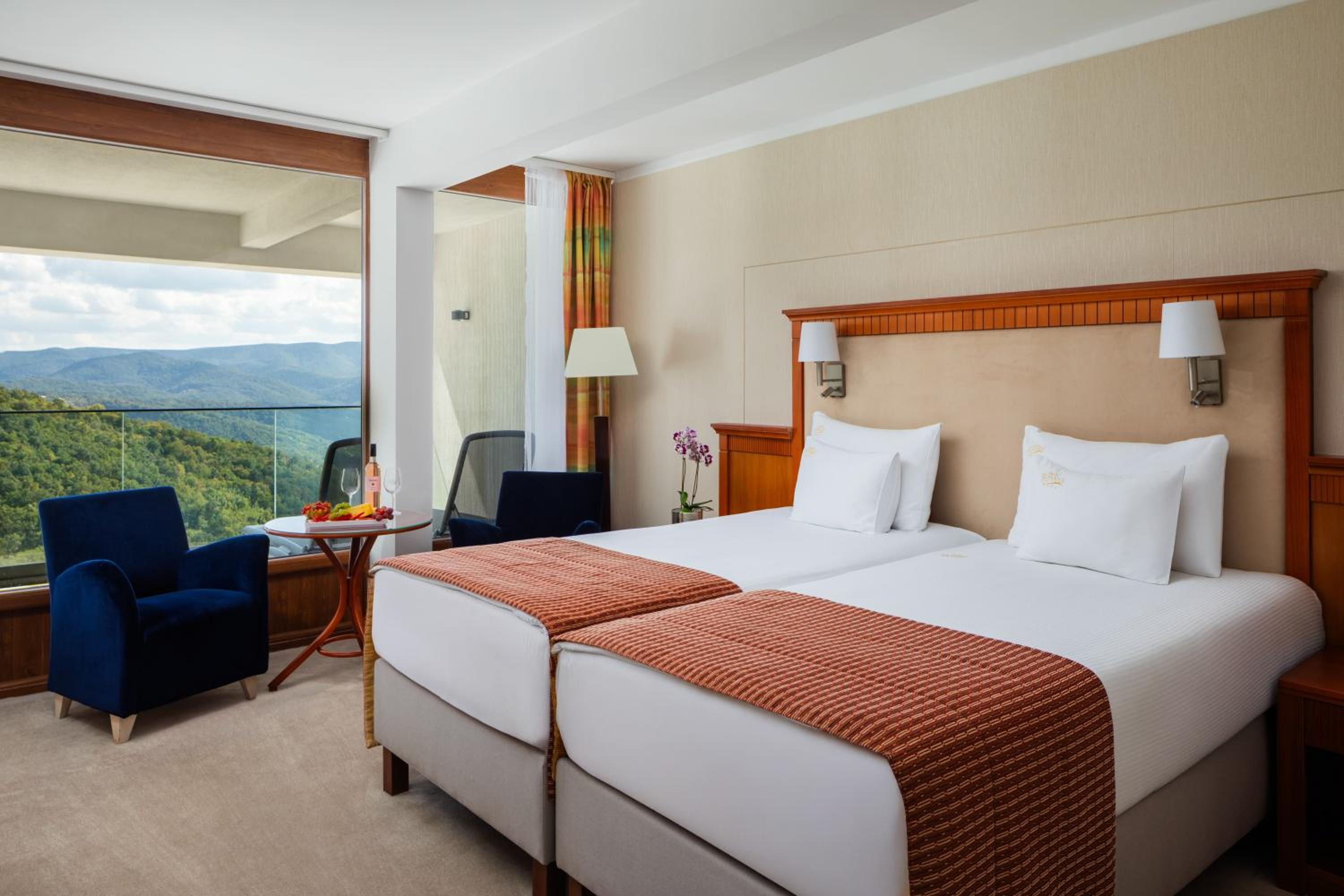 Silvanus Wellness and Conference Hotel (Hotel Silvanus) 4/25
