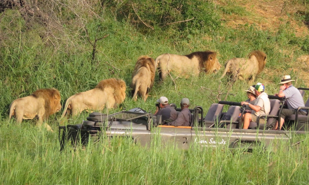 Lion Sands Kruger National Park 31/50