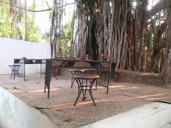 THE BANYAN SOUL 35/50