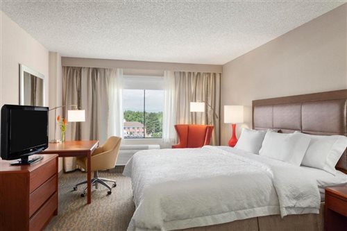 Room, King Bed, Mountain View