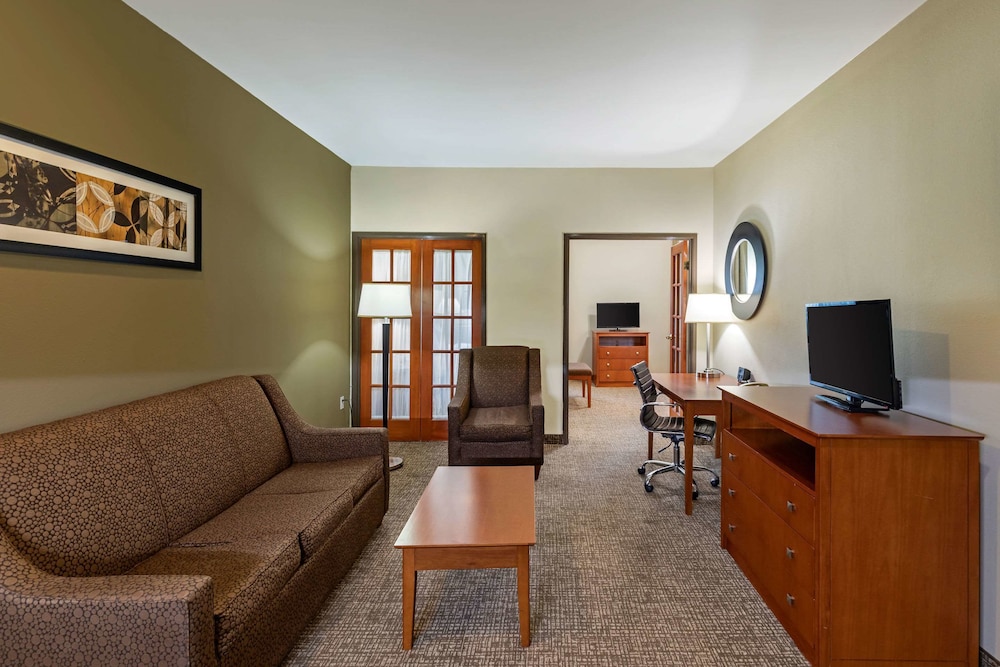 Comfort Suites North Dallas 24/31