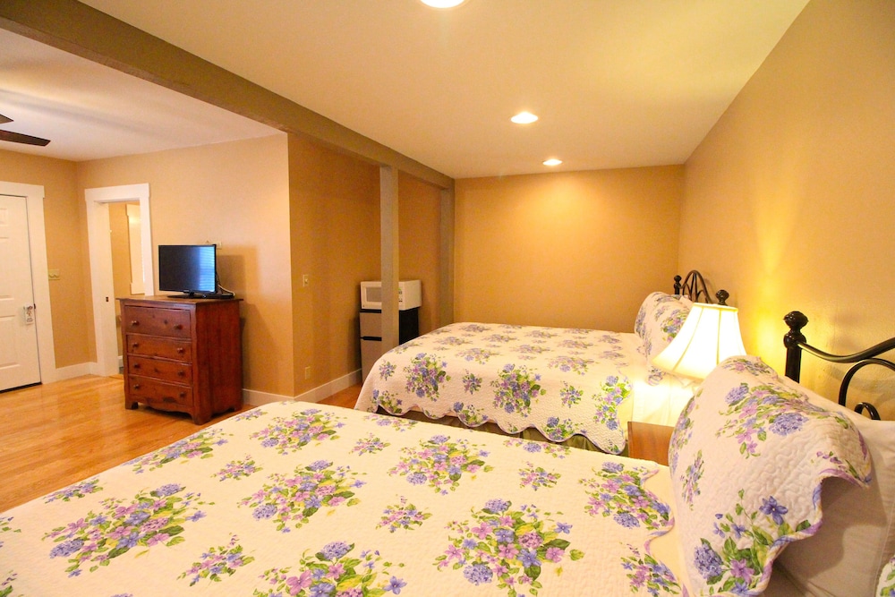Standard, Single, 2 Queen Beds, Sofa