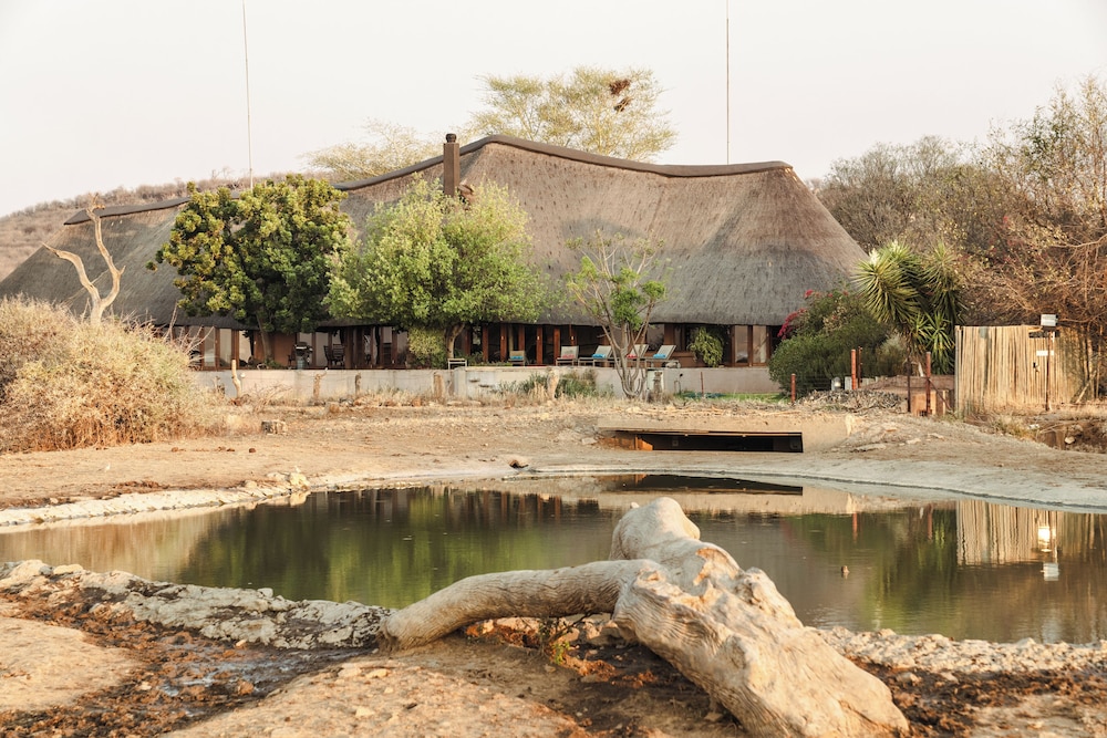 Last Word Madikwe 74/77