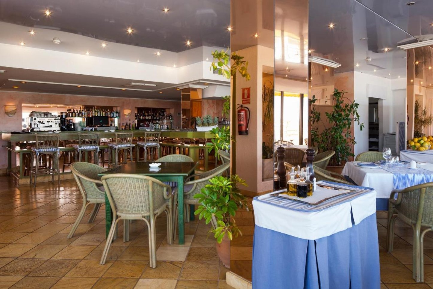 Royal Plaza Ibiza 32/47
