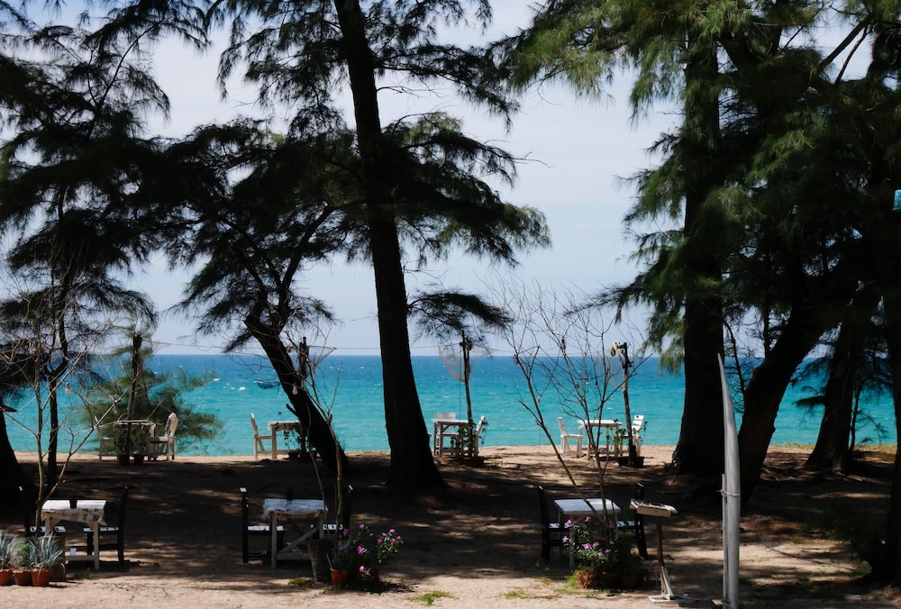 Micky Monkey Beach Hotel 34/50