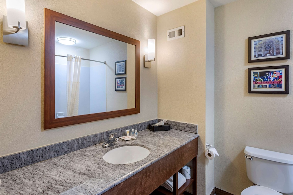 Comfort Inn & Suites Atoka-Millington 18/35