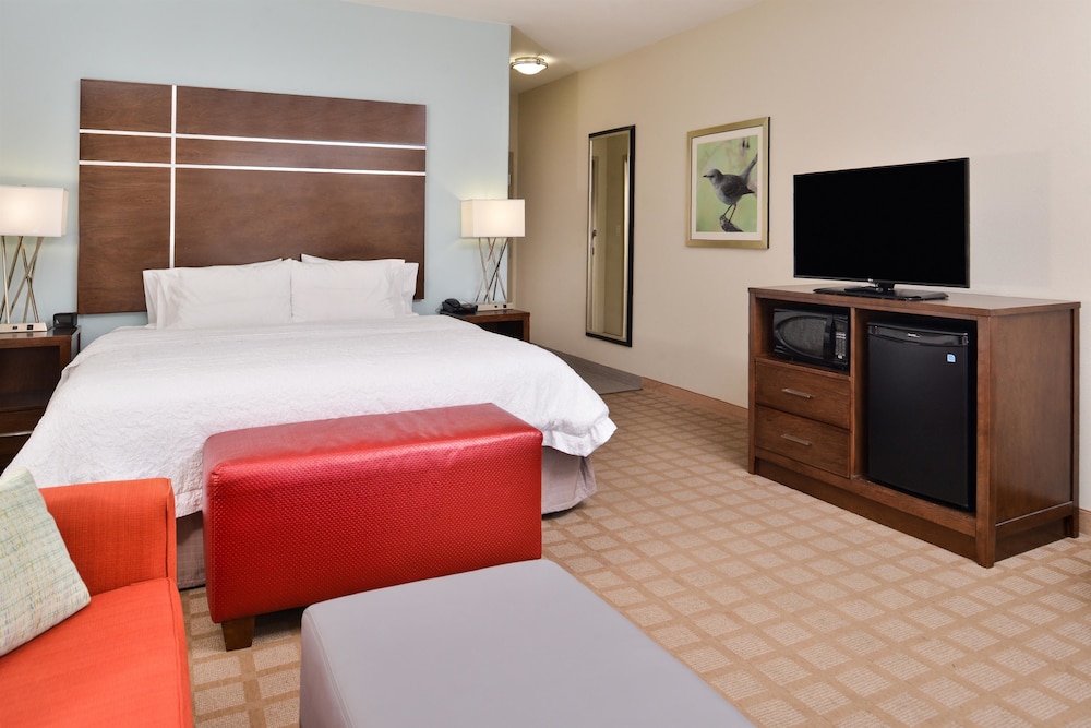Hampton Inn & Suites Hutto Austin 18/48