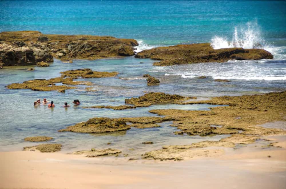 Pousada Bahia Bacana 57/64