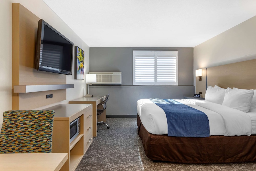 ROOM, KING BED, LARGE