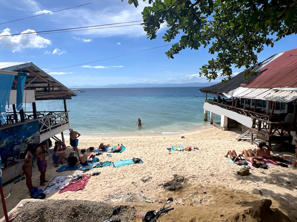 Neptune Diving Resort Moalboal 49/50