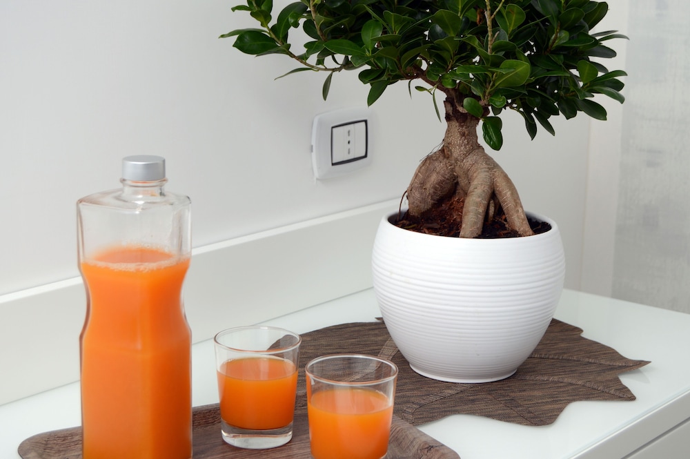 Napoliseason Rooms And Breakfast photo2