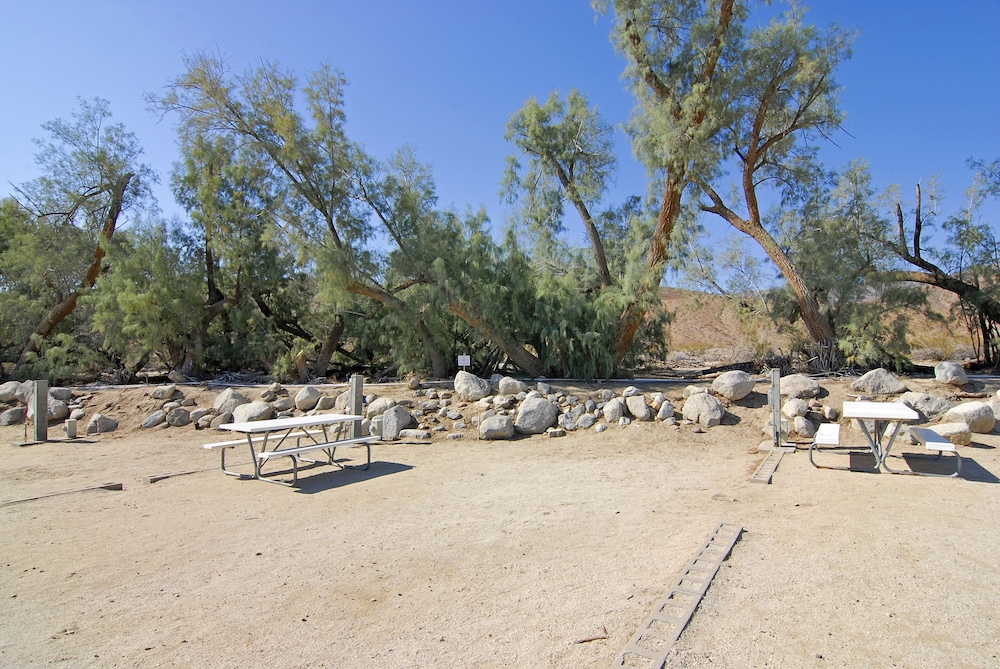 Palm Canyon Hotel and RV Resort 40/73