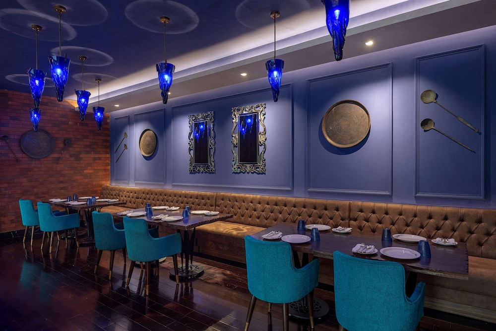 Radisson Blu Hotel Kaushambi Delhi Ncr 7/68