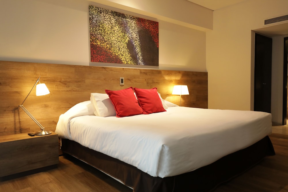 Mod Hotel Mendoza 13/49
