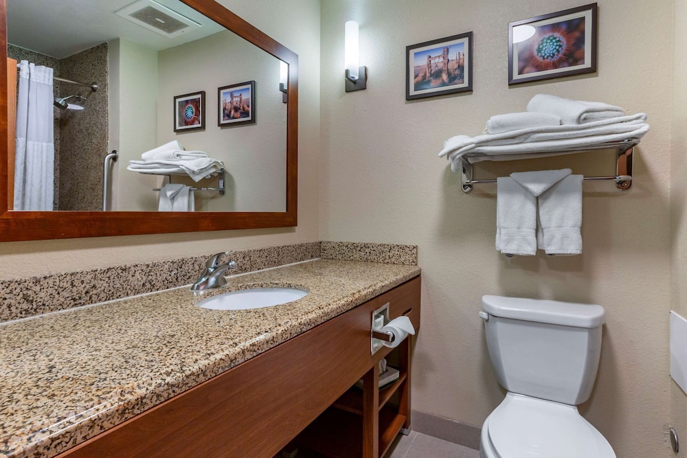 Comfort Suites Hobbs 15/46
