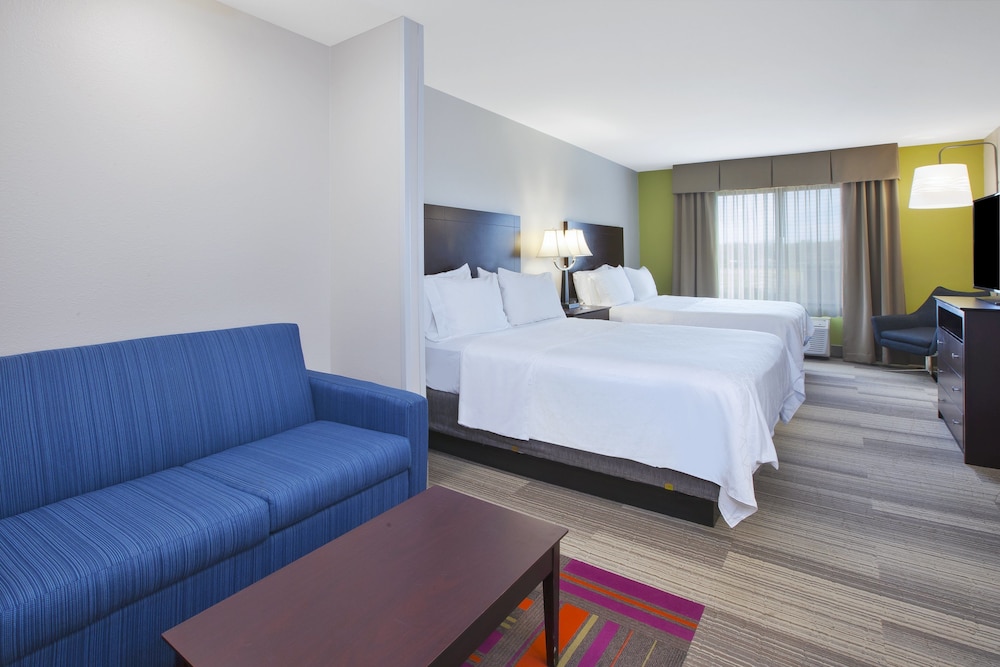 Holiday Inn Express Hotel Suites Niles 15/51