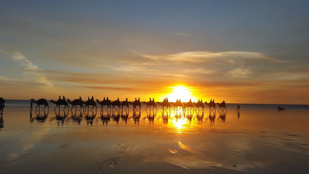 Cable Beach Backpackers Hostel 25/36