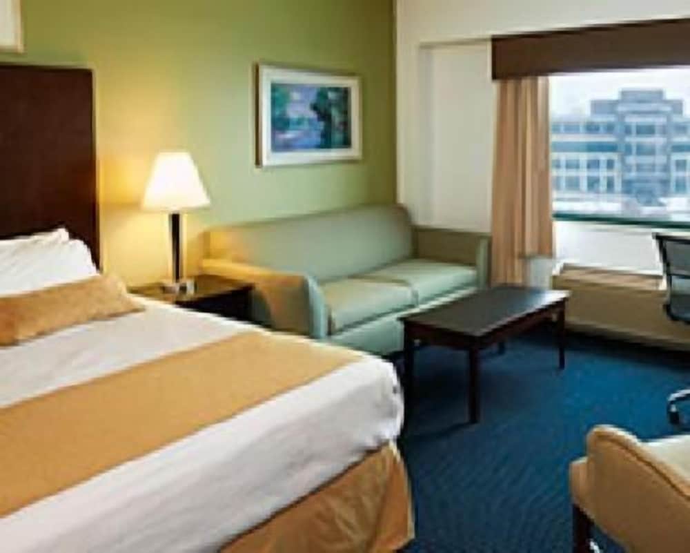 جناح جونيور بسرير كينج مع أريكة، Grand Harbor Resort 3/3