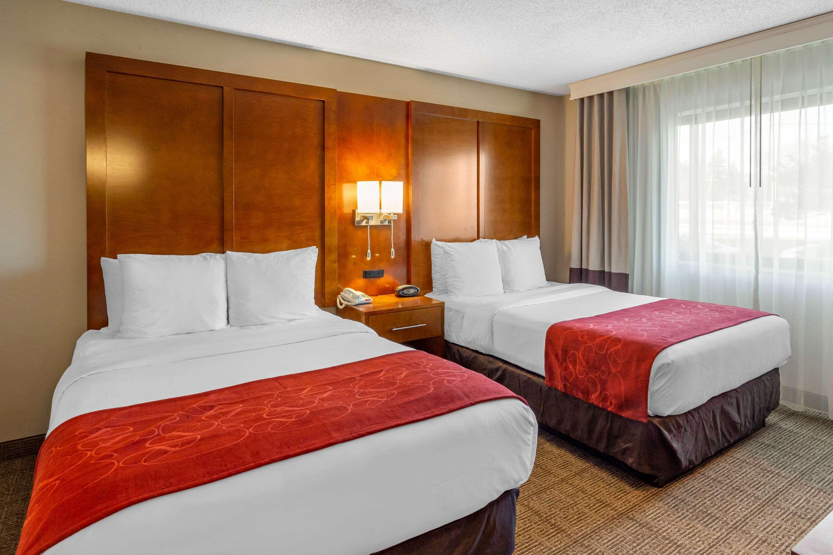 Suite, 2 Double Beds