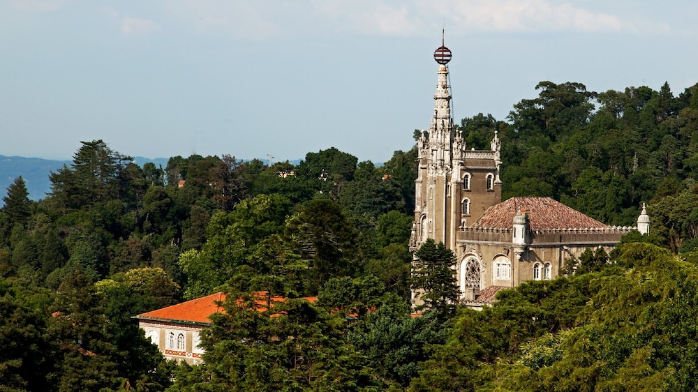 Bussaco Palace Hotel 28/34