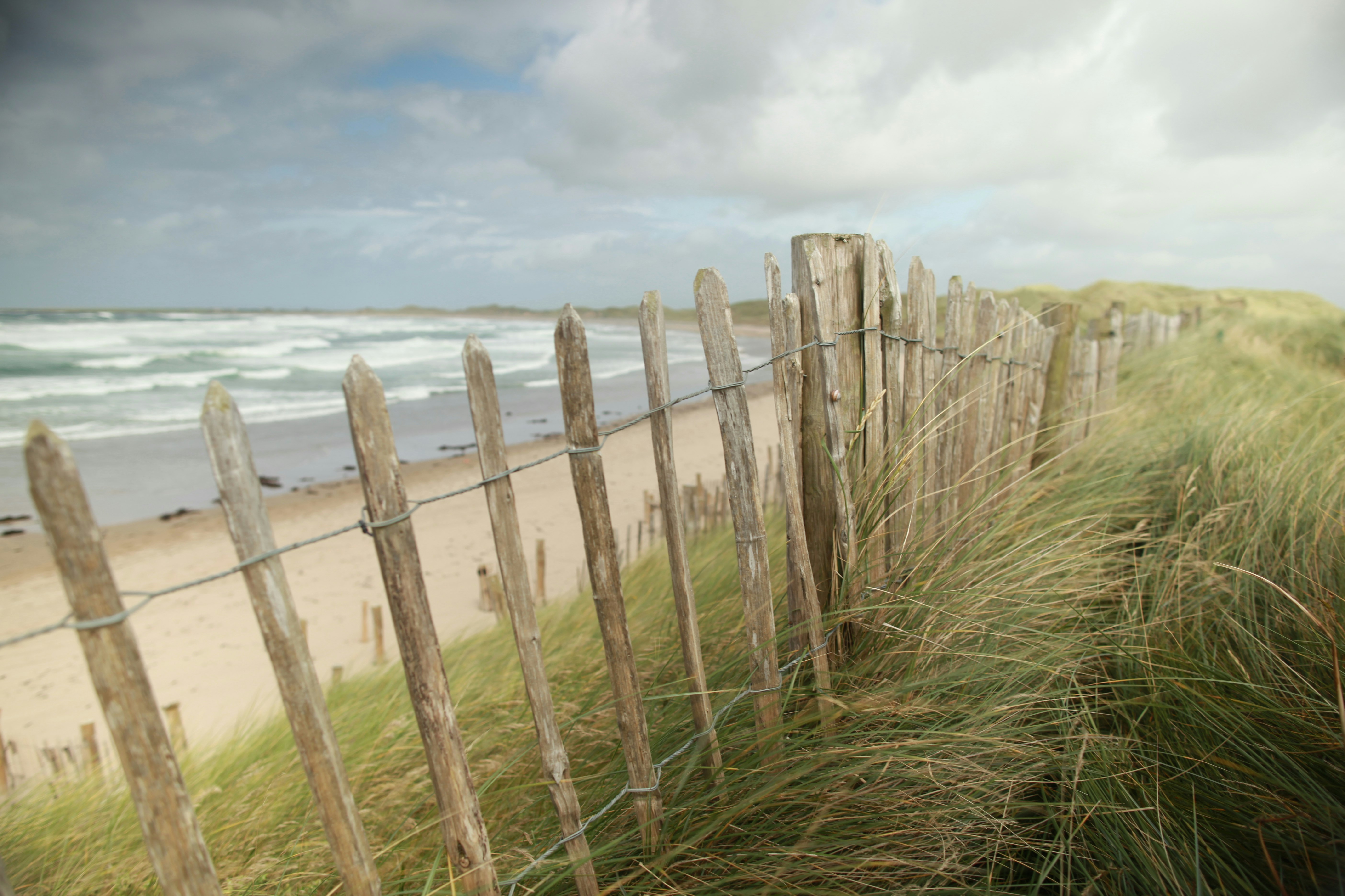 Trump International Golf Links And Hotel Doonbeg Ireland 77/81