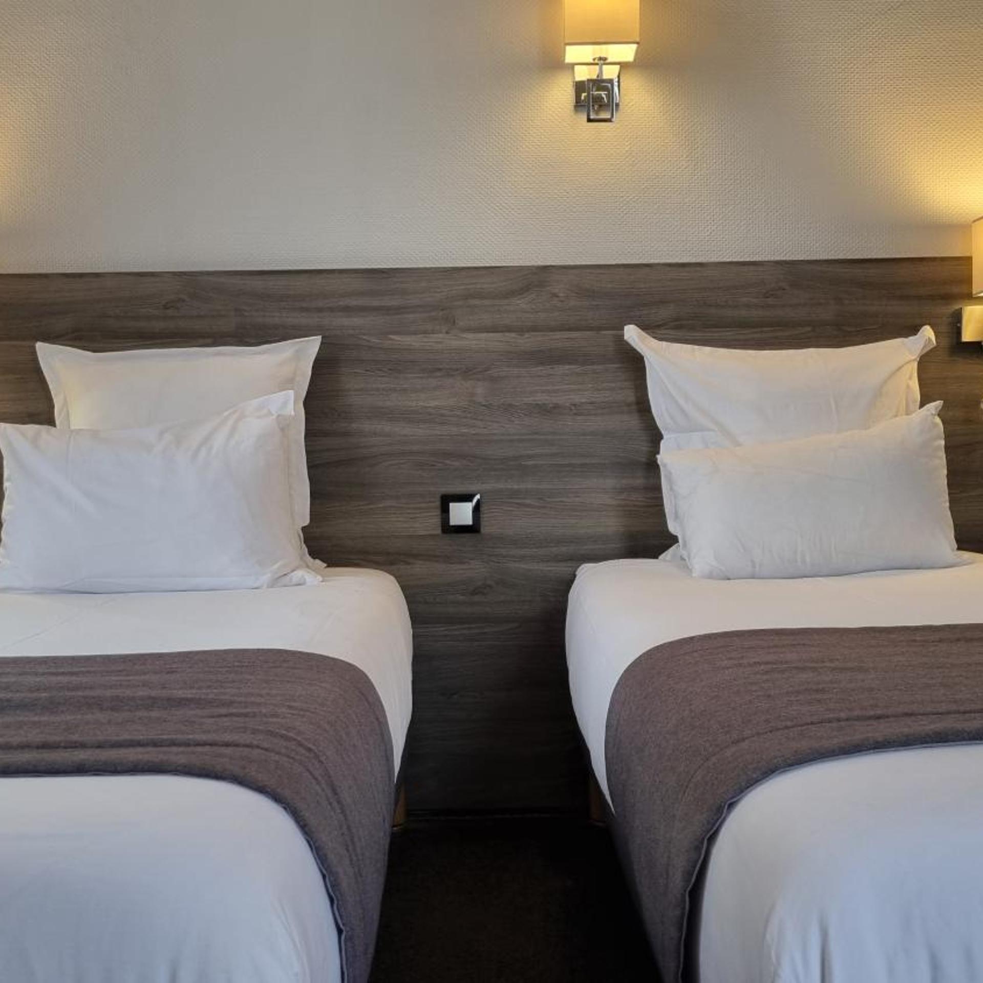 غرفة بسريرين منفصلين، COMFORT HOTEL ACTUEL CHAMBERY CENTRE 4/10