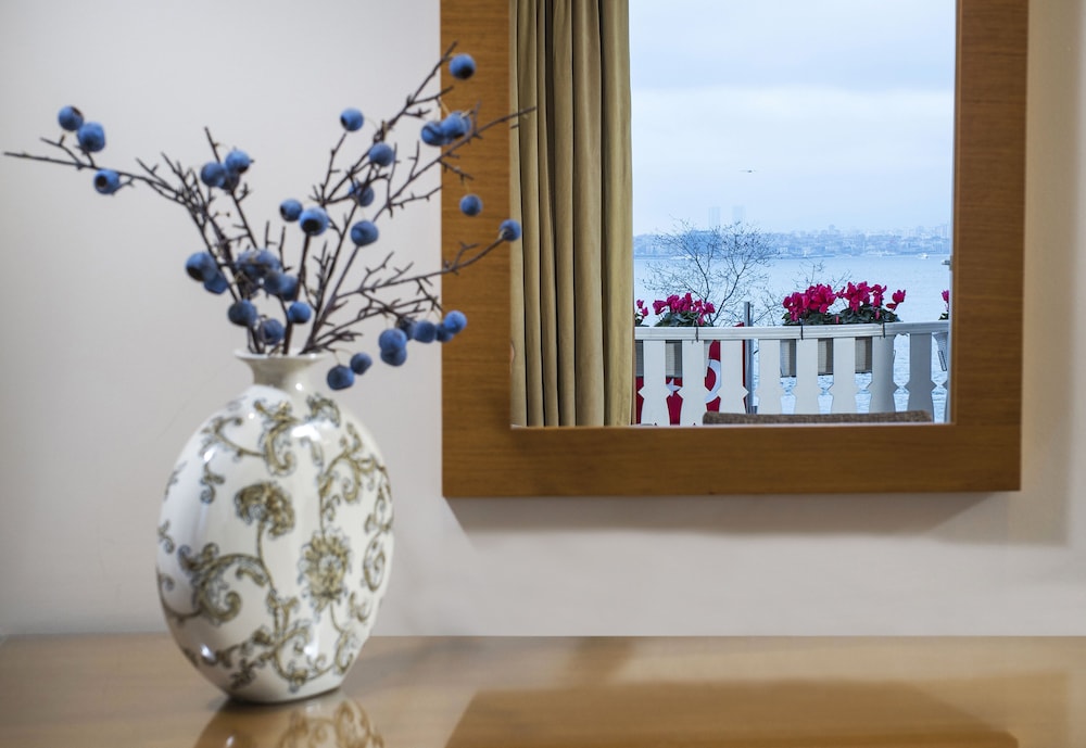 Radisson Hotel Istanbul Sultanahmet 28/50