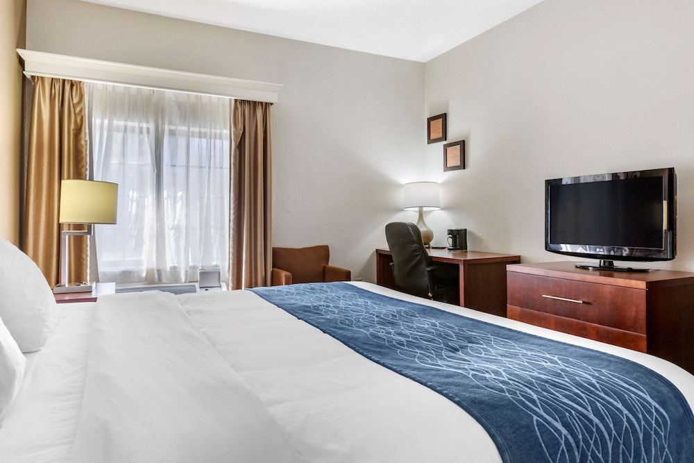 Comfort Inn Downtown University Area 11/37