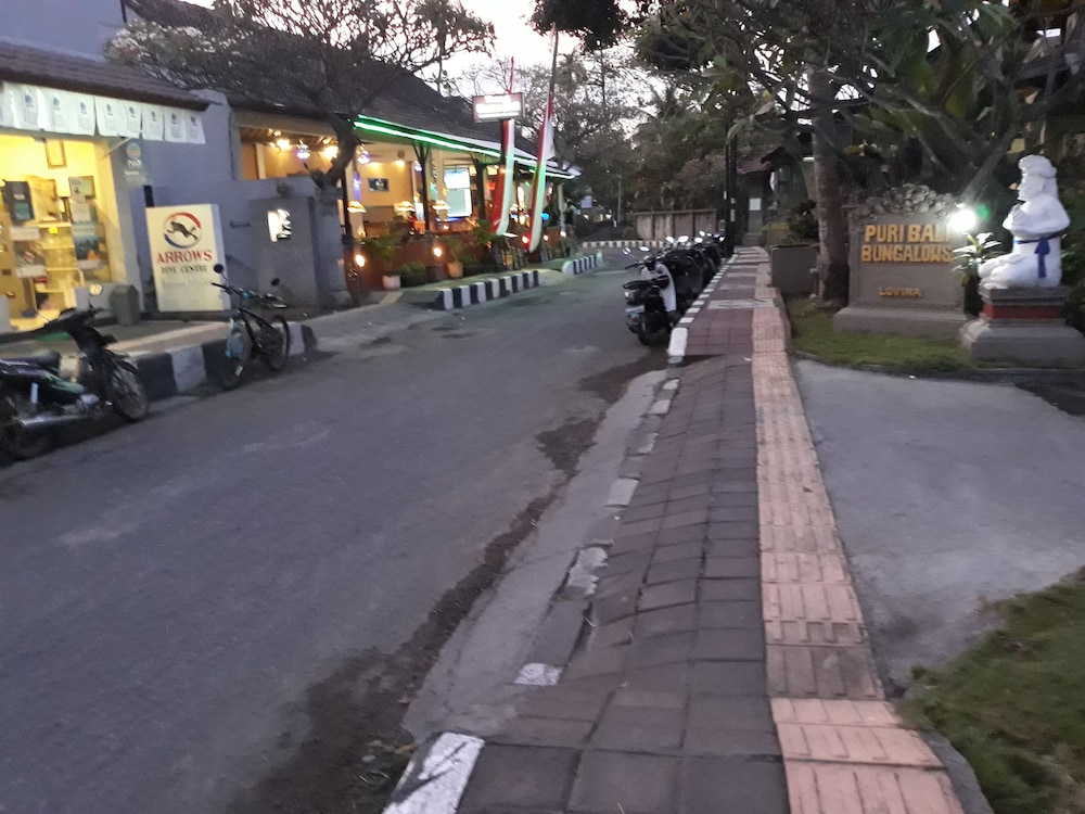 Puri Bali Lovina 40/50