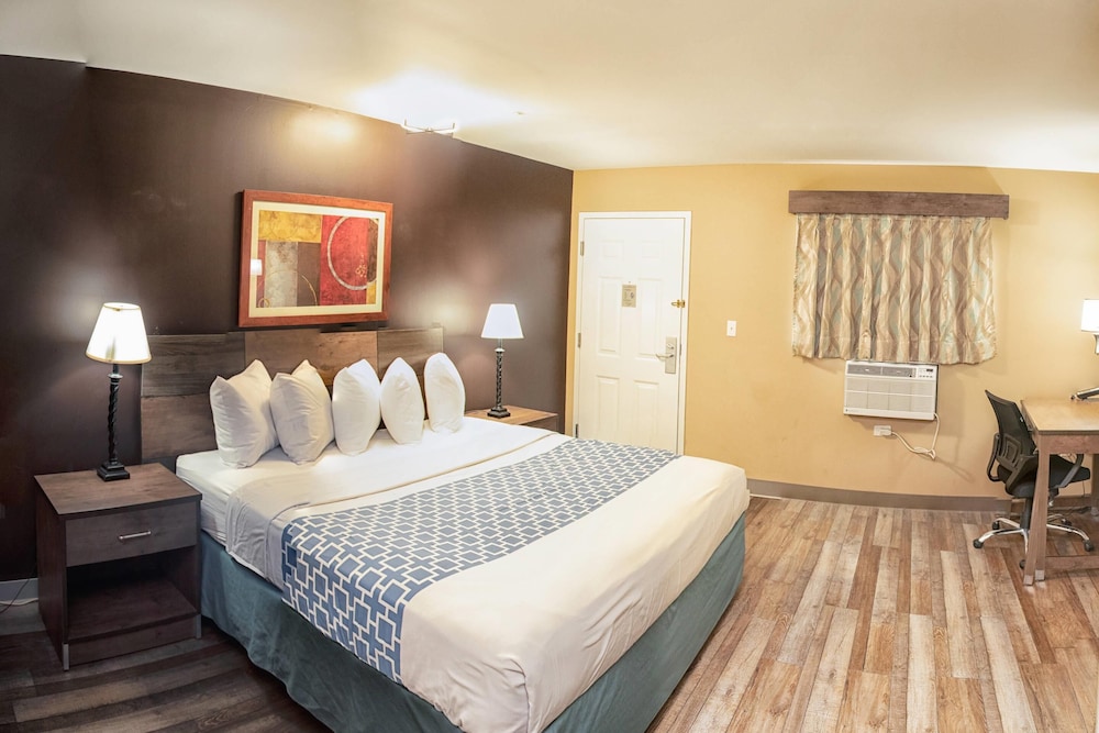 SUITE, KING BED