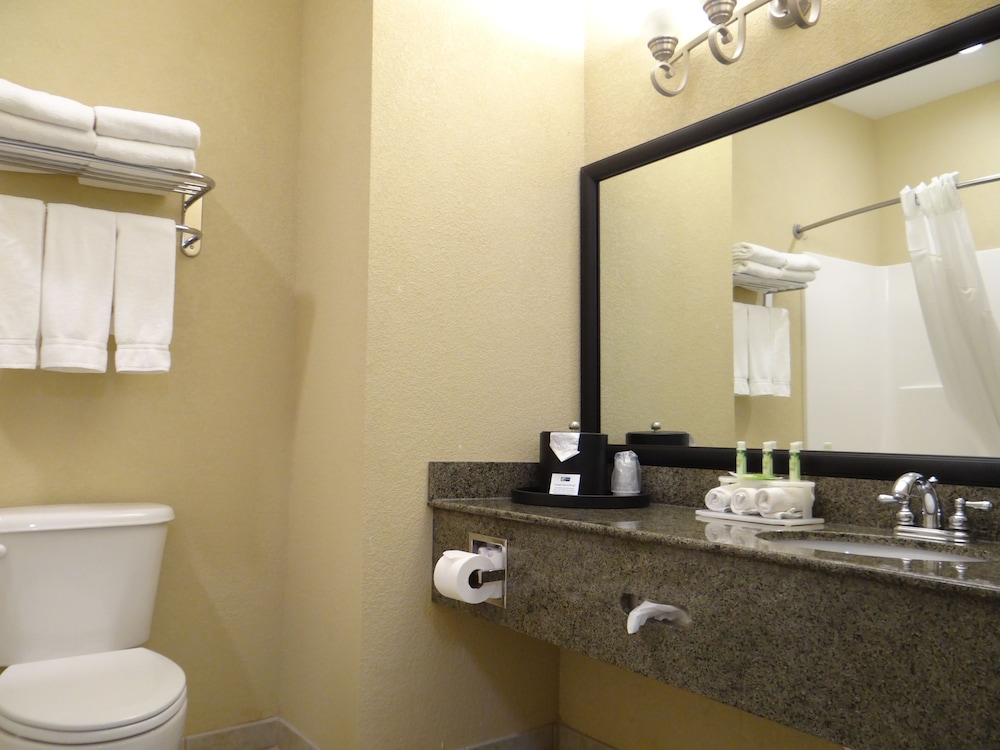 Holiday Inn Express Hotel And Suites Salisbury Delmar 57/68