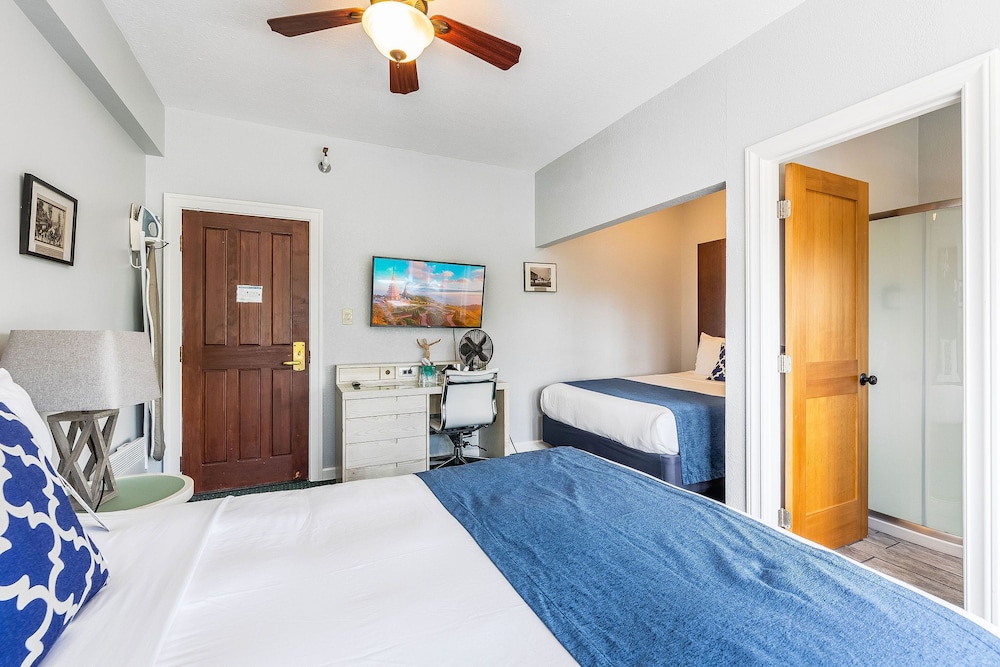 The College Inn 11/50