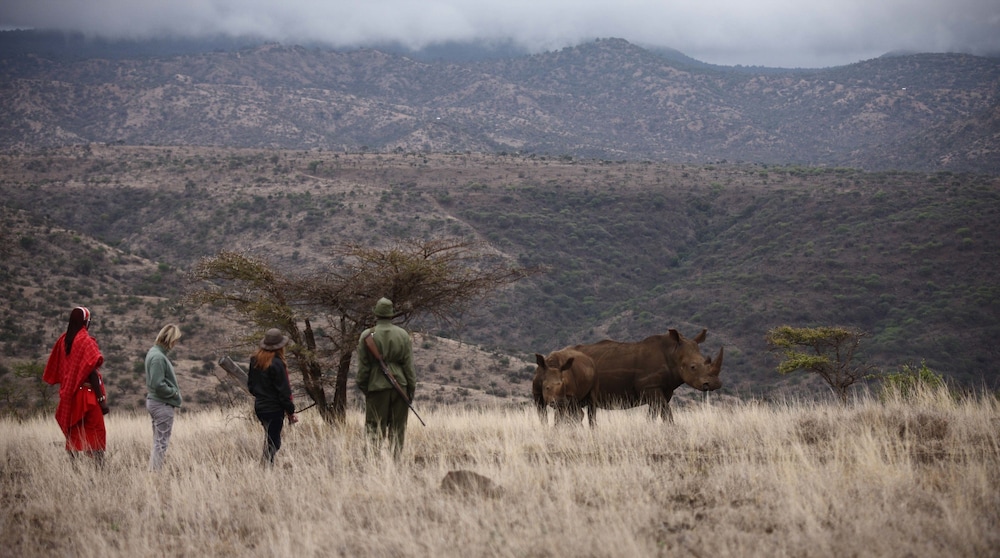 Lewa Safari Camp 40/50